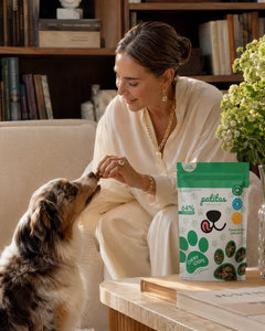 Chewy Loops Patitas Natural Club en casa con perro