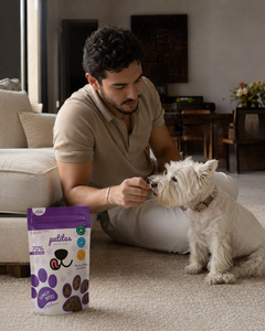 Lungy Bites Patitas Natural Club en casa con perro
