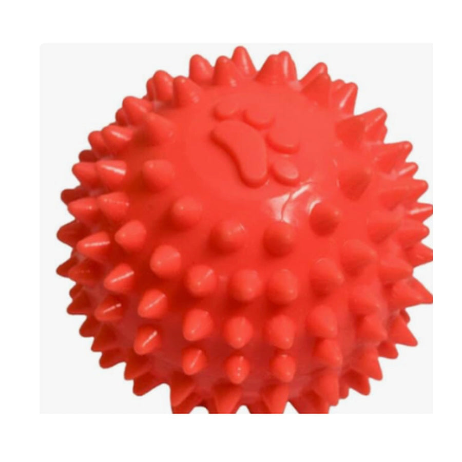Pelota texturizada para perro
