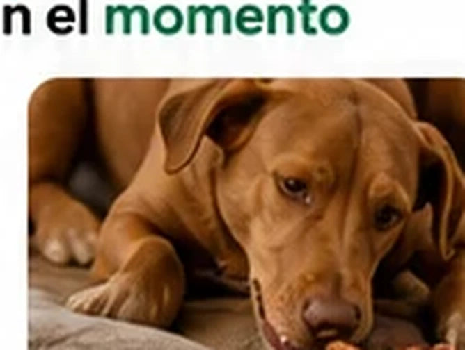 Más tiempo de diversión