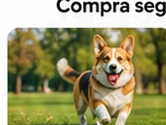 Prácticos y ligeros